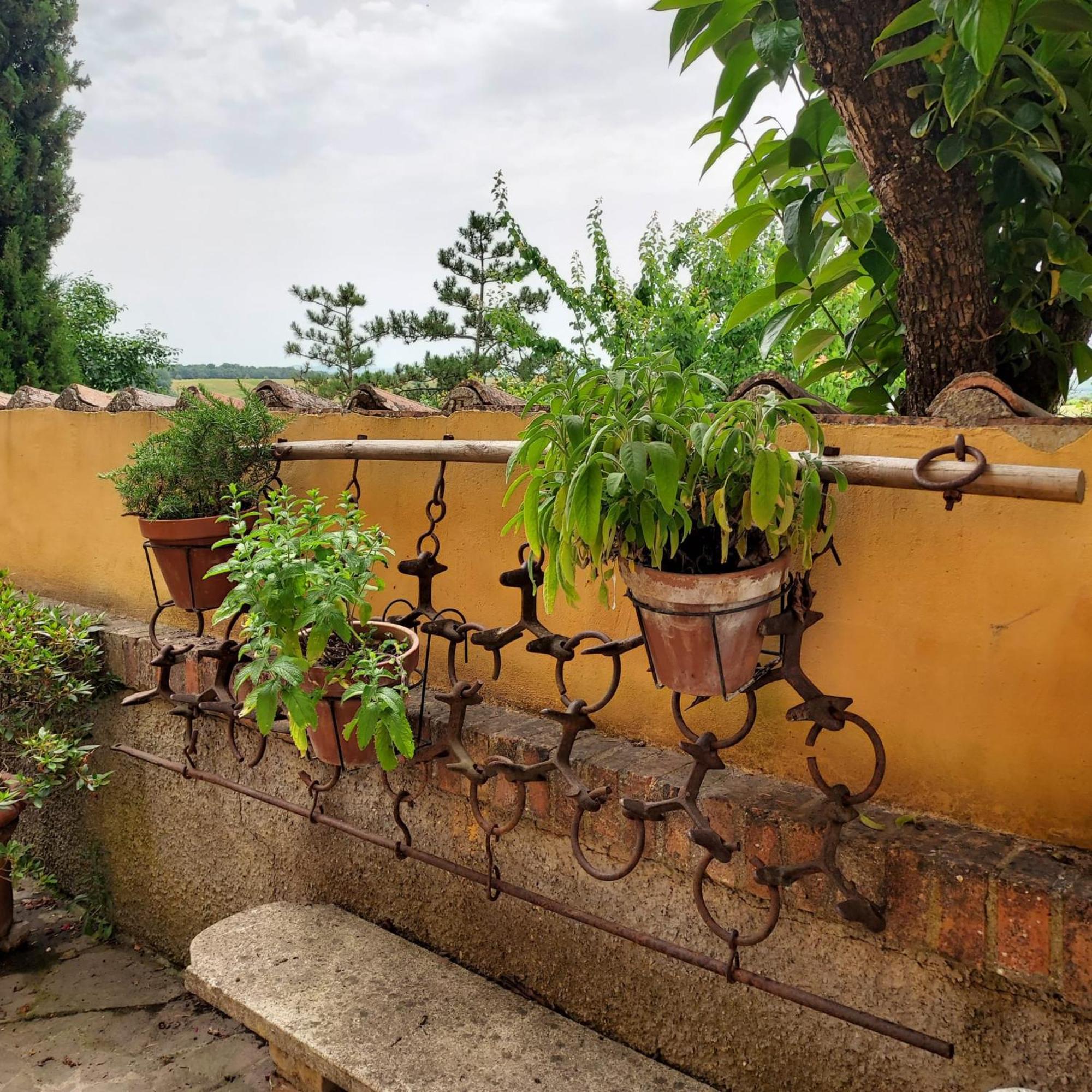 Agriturismo Il Colle Siena Exterior photo