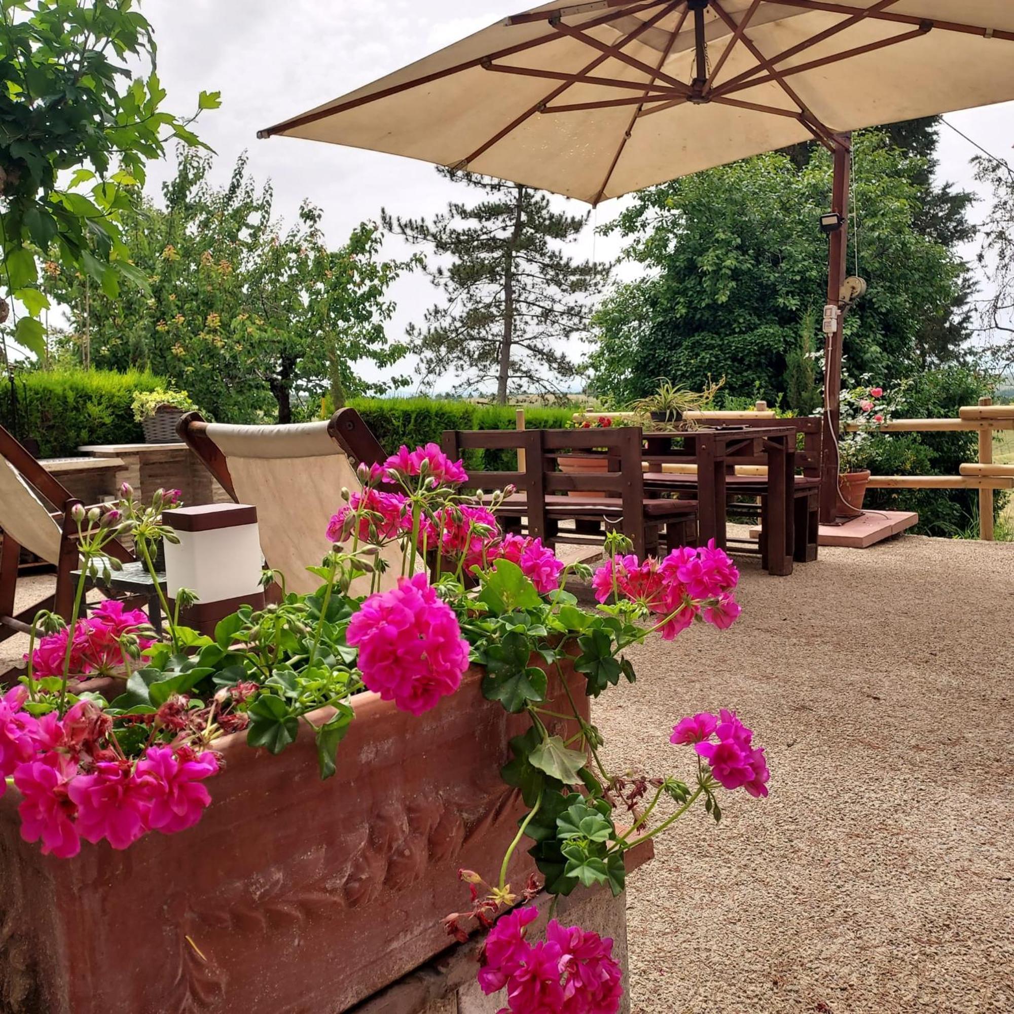 Agriturismo Il Colle Siena Exterior photo