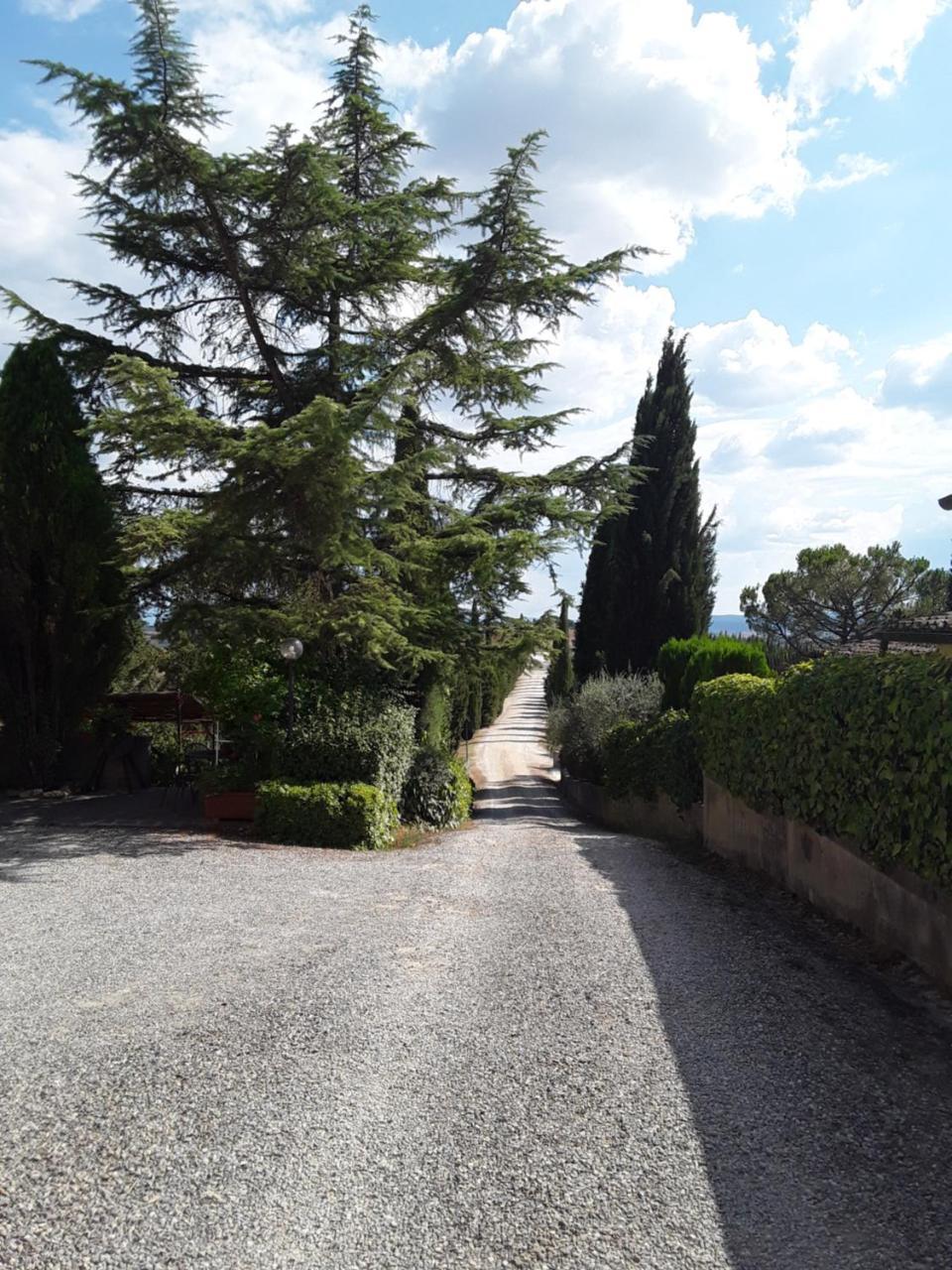 Agriturismo Il Colle Siena Exterior photo