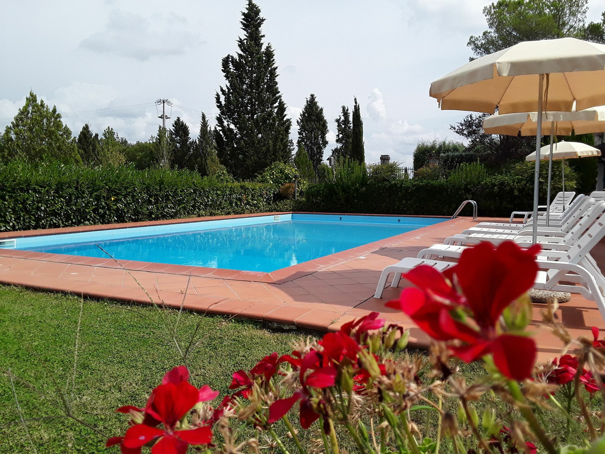 Agriturismo Il Colle Siena Exterior photo